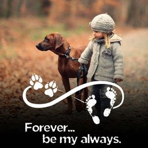 Meet your Posher, Abigail